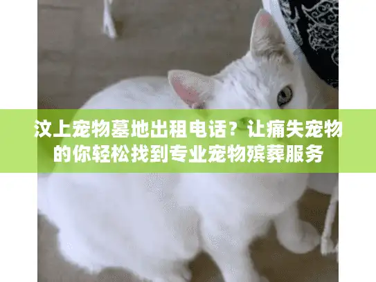 汶上宠物墓地出租电话？让痛失宠物的你轻松找到专业宠物殡葬服务