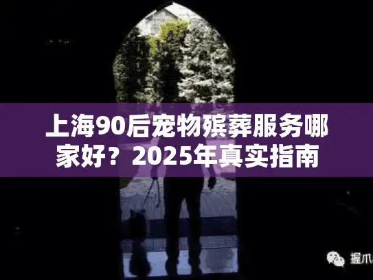 上海90后宠物殡葬服务哪家好？2025年真实指南