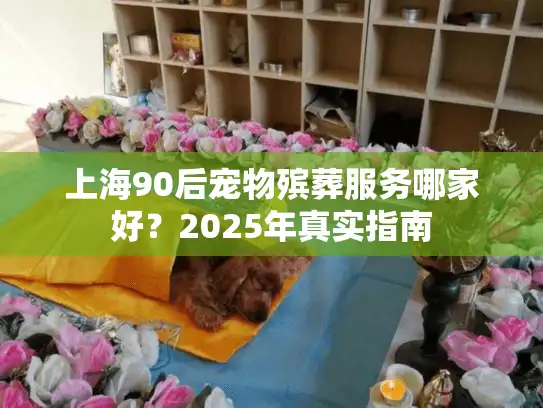 上海90后宠物殡葬服务哪家好？2025年真实指南