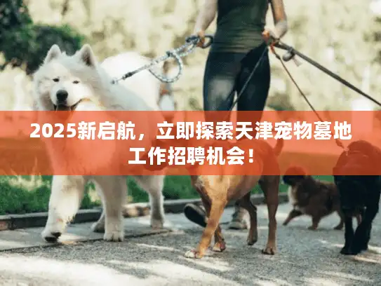 2025新启航，立即探索天津宠物墓地工作招聘机会！