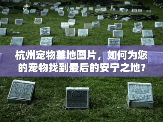 杭州宠物墓地图片，如何为您的宠物找到最后的安宁之地？