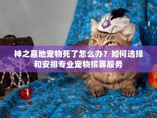 神之墓地宠物死了怎么办？如何选择和安排专业宠物殡葬服务