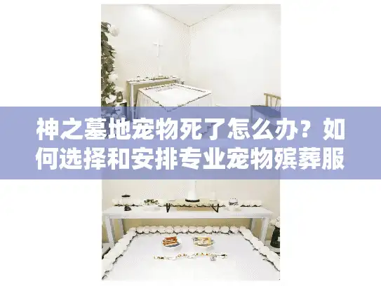 神之墓地宠物死了怎么办？如何选择和安排专业宠物殡葬服务
