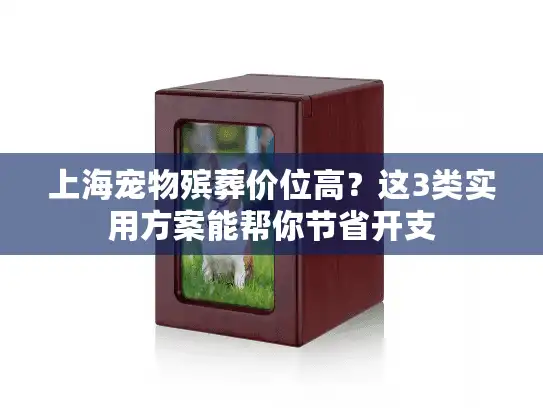 上海宠物殡葬价位高？这3类实用方案能帮你节省开支
