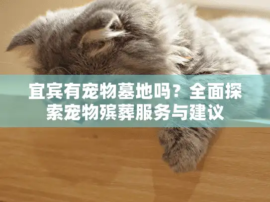 宜宾有宠物墓地吗？全面探索宠物殡葬服务与建议