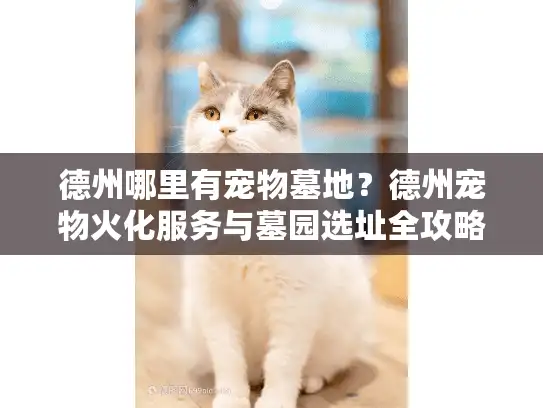 德州哪里有宠物墓地？德州宠物火化服务与墓园选址全攻略
