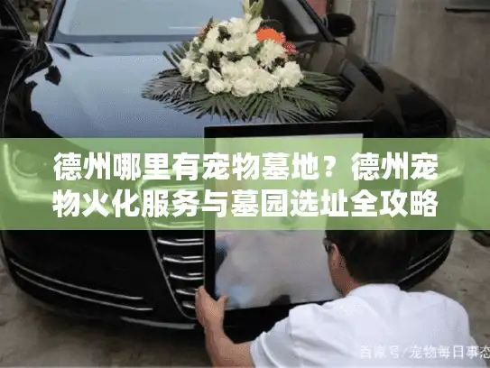 德州哪里有宠物墓地？德州宠物火化服务与墓园选址全攻略