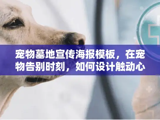 宠物墓地宣传海报模板，在宠物告别时刻，如何设计触动心灵的宣传海报？