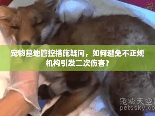 宠物墓地管控措施疑问，如何避免不正规机构引发二次伤害？