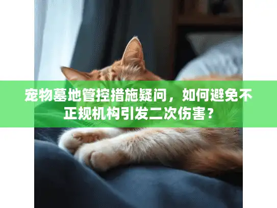 宠物墓地管控措施疑问，如何避免不正规机构引发二次伤害？