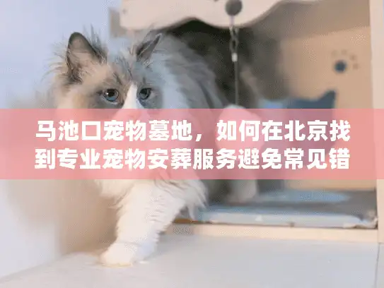 马池口宠物墓地，如何在北京找到专业宠物安葬服务避免常见错误？
