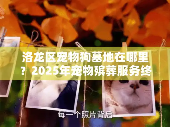 洛龙区宠物狗墓地在哪里？2025年宠物殡葬服务终极指南