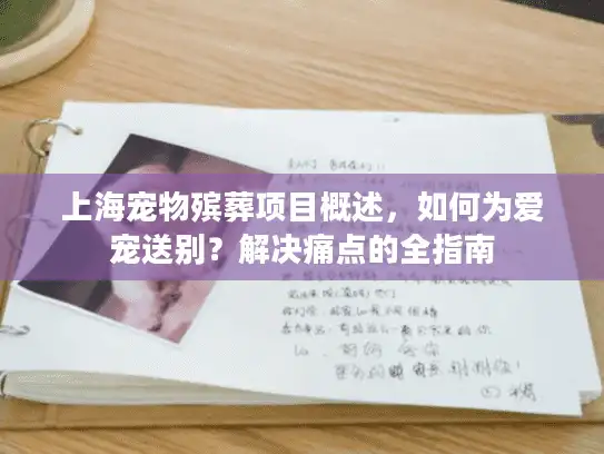 上海宠物殡葬项目概述，如何为爱宠送别？解决痛点的全指南