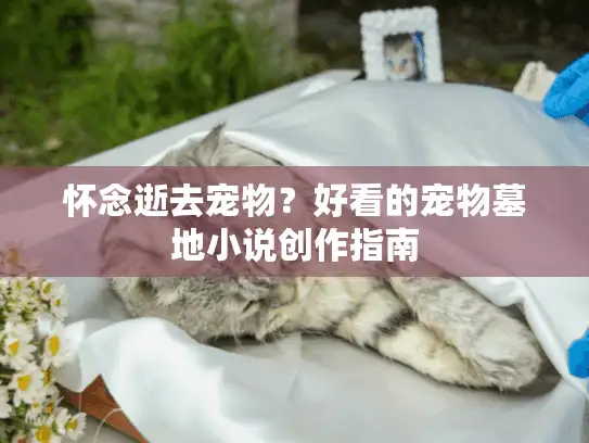 怀念逝去宠物？好看的宠物墓地小说创作指南