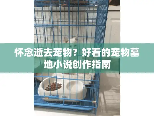 怀念逝去宠物？好看的宠物墓地小说创作指南