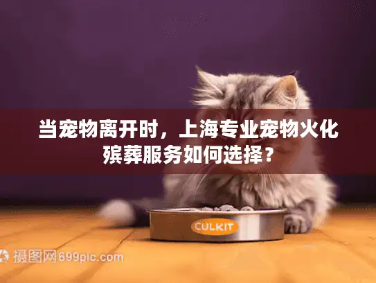 当宠物离开时，上海专业宠物火化殡葬服务如何选择？
