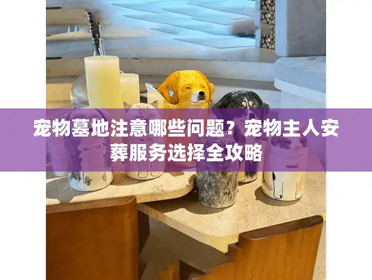 宠物墓地注意哪些问题？宠物主人安葬服务选择全攻略