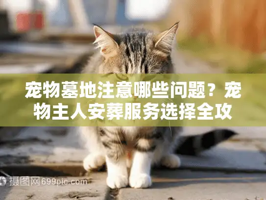 宠物墓地注意哪些问题？宠物主人安葬服务选择全攻略