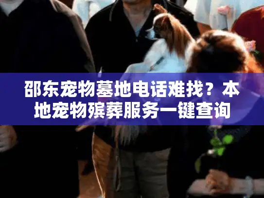 邵东宠物墓地电话难找？本地宠物殡葬服务一键查询指南