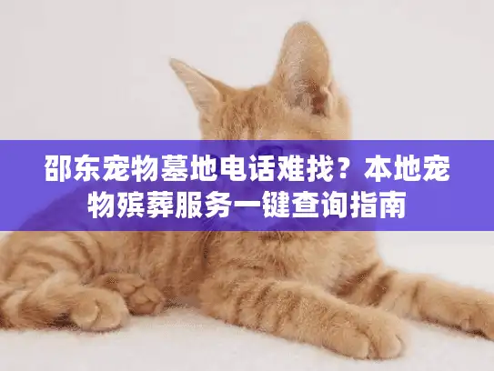 邵东宠物墓地电话难找？本地宠物殡葬服务一键查询指南