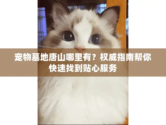 宠物墓地唐山哪里有？权威指南帮你快速找到贴心服务