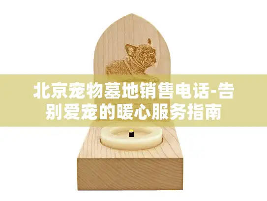 北京宠物墓地销售电话-告别爱宠的暖心服务指南