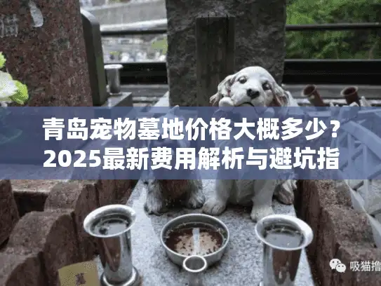 青岛宠物墓地价格大概多少？2025最新费用解析与避坑指南