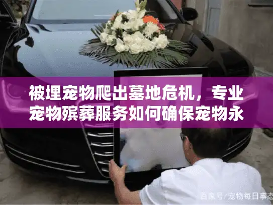 被埋宠物爬出墓地危机，专业宠物殡葬服务如何确保宠物永久安宁？