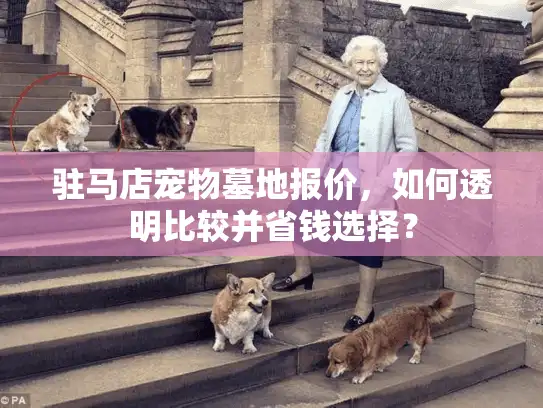 驻马店宠物墓地报价，如何透明比较并省钱选择？