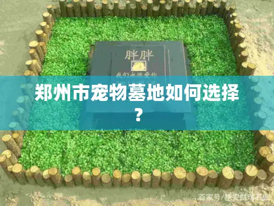 郑州市宠物墓地如何选择？