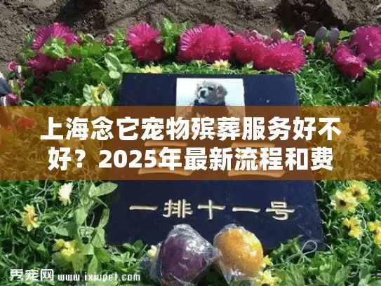 上海念它宠物殡葬服务好不好？2025年最新流程和费用详解