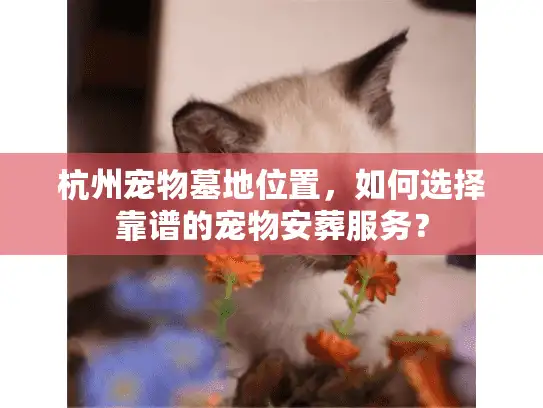 杭州宠物墓地位置，如何选择靠谱的宠物安葬服务？