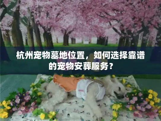 杭州宠物墓地位置，如何选择靠谱的宠物安葬服务？