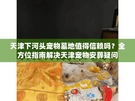 天津下河头宠物墓地值得信赖吗？全方位指南解决天津宠物安葬疑问
