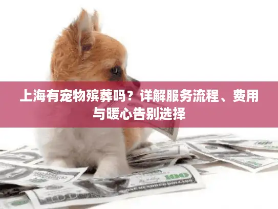 上海有宠物殡葬吗？详解服务流程、费用与暖心告别选择