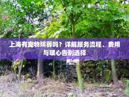 上海有宠物殡葬吗？详解服务流程、费用与暖心告别选择