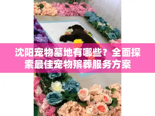 沈阳宠物墓地有哪些？全面探索最佳宠物殡葬服务方案