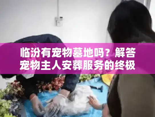 临汾有宠物墓地吗？解答宠物主人安葬服务的终极指南
