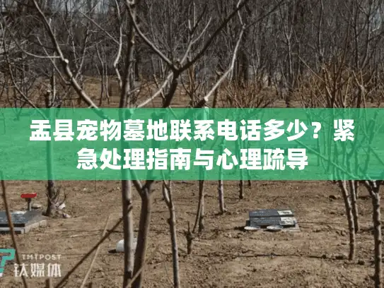 盂县宠物墓地联系电话多少？紧急处理指南与心理疏导