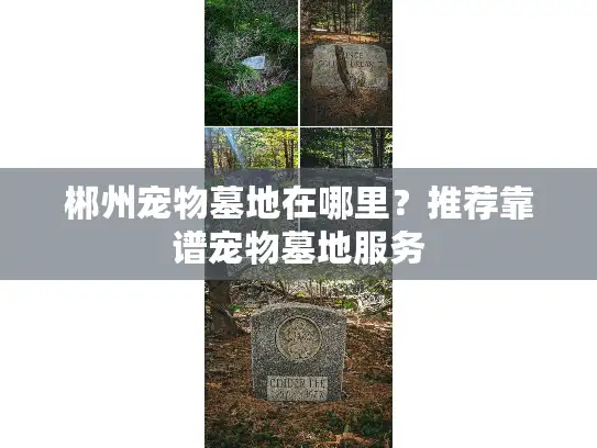 郴州宠物墓地在哪里？推荐靠谱宠物墓地服务
