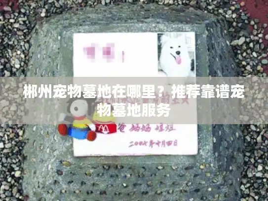郴州宠物墓地在哪里？推荐靠谱宠物墓地服务