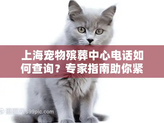 上海宠物殡葬中心电话如何查询？专家指南助你紧急应对宠物离别