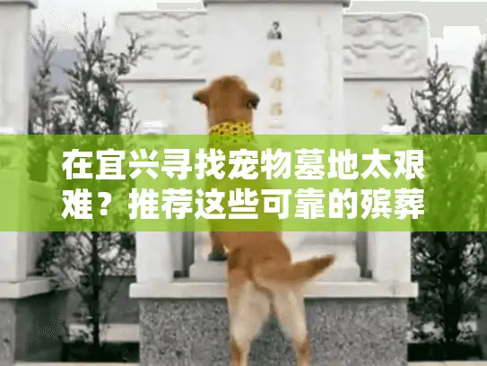 在宜兴寻找宠物墓地太艰难？推荐这些可靠的殡葬服务点