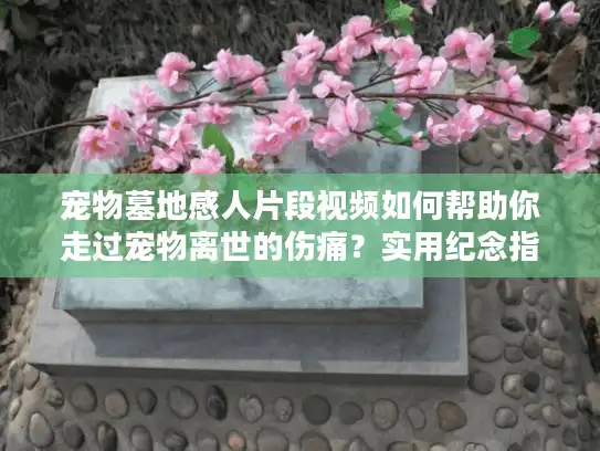 宠物墓地感人片段视频如何帮助你走过宠物离世的伤痛？实用纪念指南