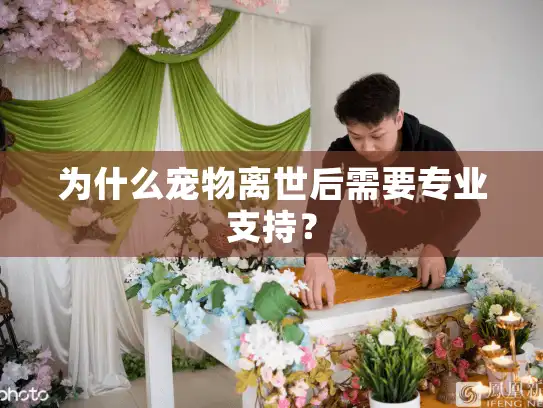 为什么宠物离世后需要专业支持？