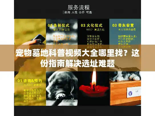 宠物墓地科普视频大全哪里找？这份指南解决选址难题