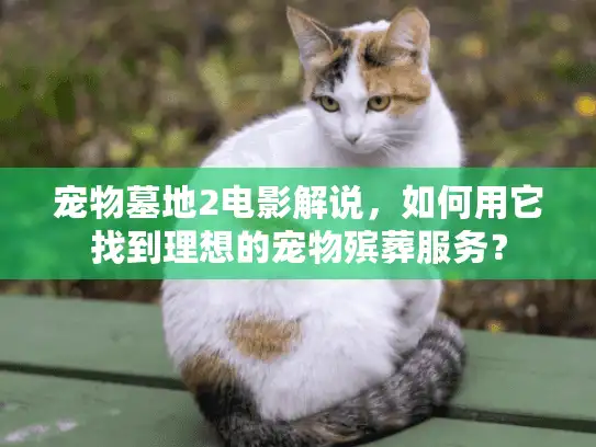 宠物墓地2电影解说，如何用它找到理想的宠物殡葬服务？