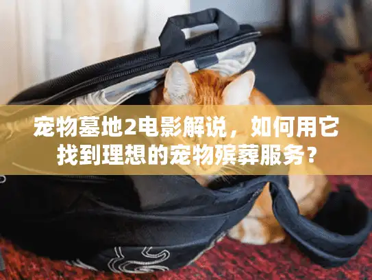 宠物墓地2电影解说，如何用它找到理想的宠物殡葬服务？