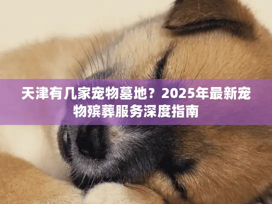 天津有几家宠物墓地？2025年最新宠物殡葬服务深度指南