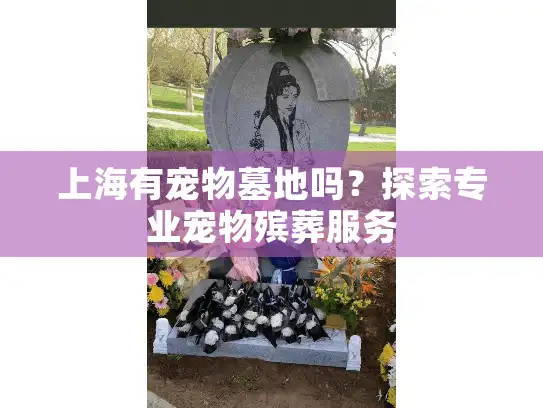 上海有宠物墓地吗？探索专业宠物殡葬服务